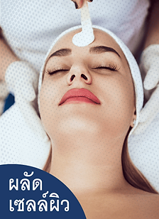 ผลัดเซลล์ผิว