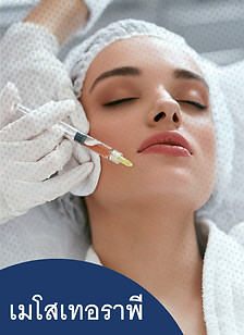 เมโสเทอราพี